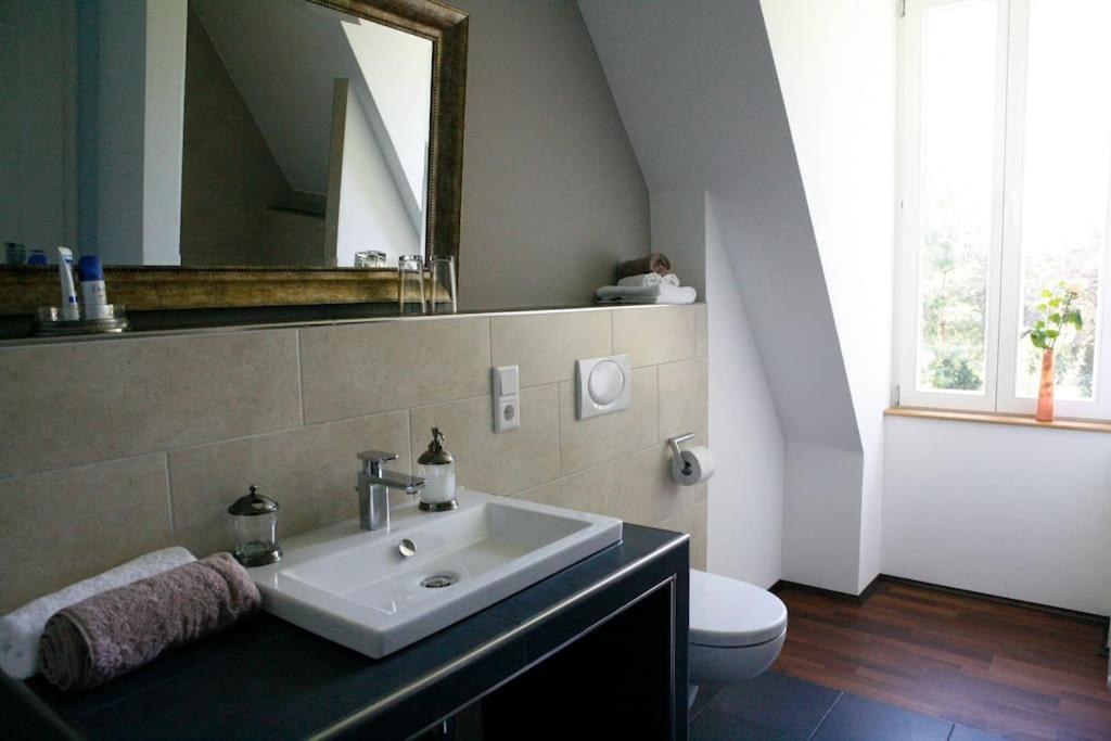 Haus Keppelborg: Zi Ferdinand Mit Rosengartenblick 黑克 外观 照片